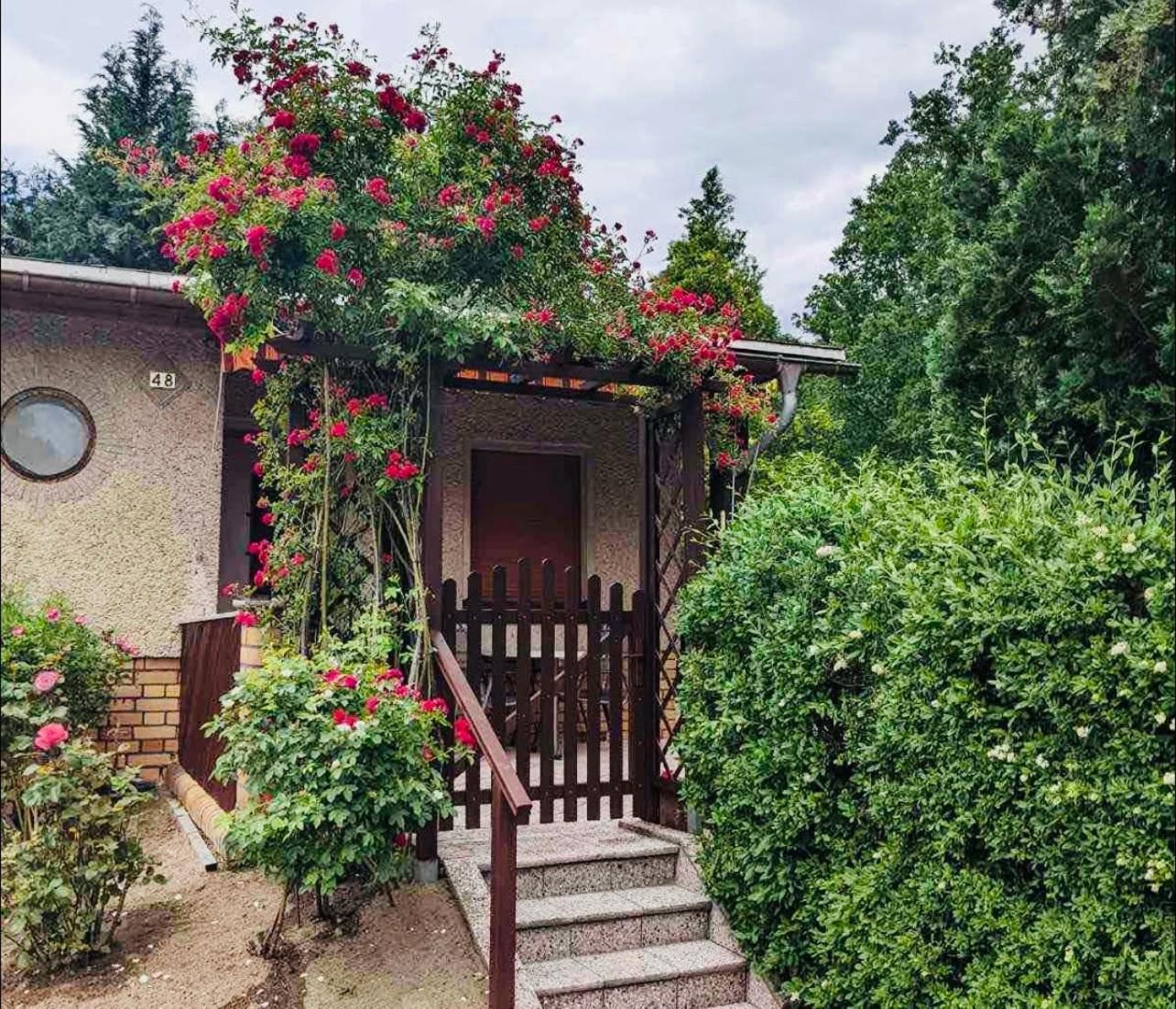 Villa Gruener Bungalow Am Kiebitzsee Falkenburg Exterior foto