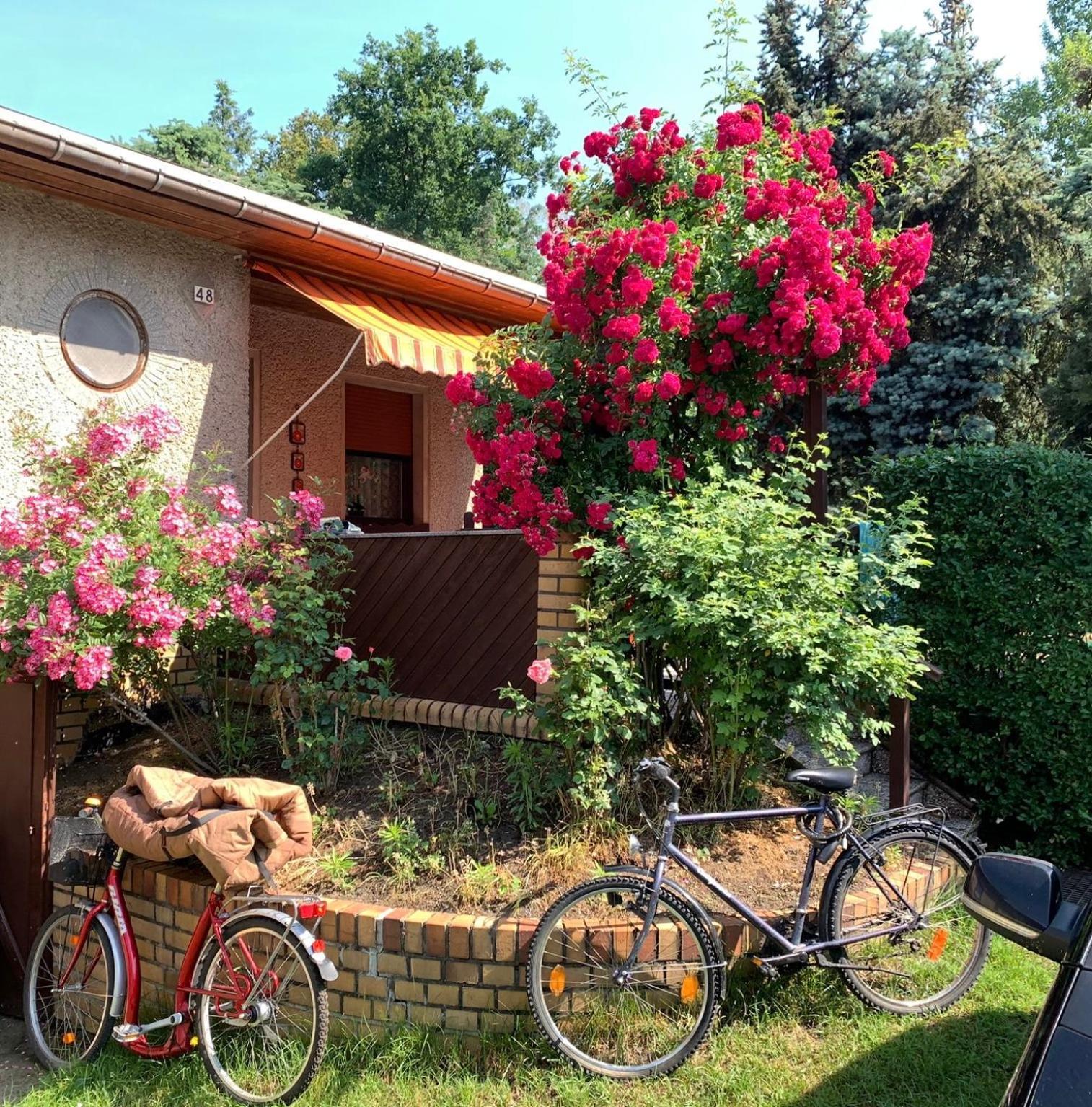 Villa Gruener Bungalow Am Kiebitzsee Falkenburg Exterior foto